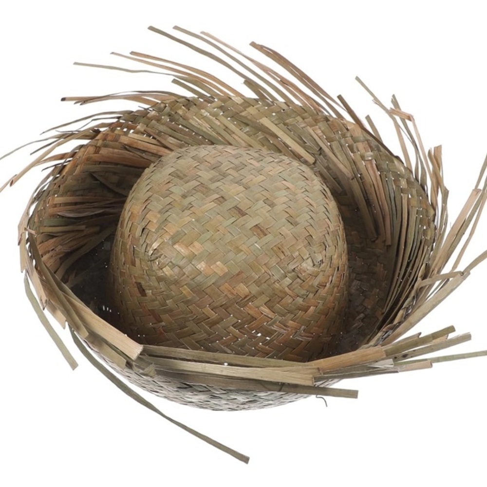 Natural Straw Men's Hat